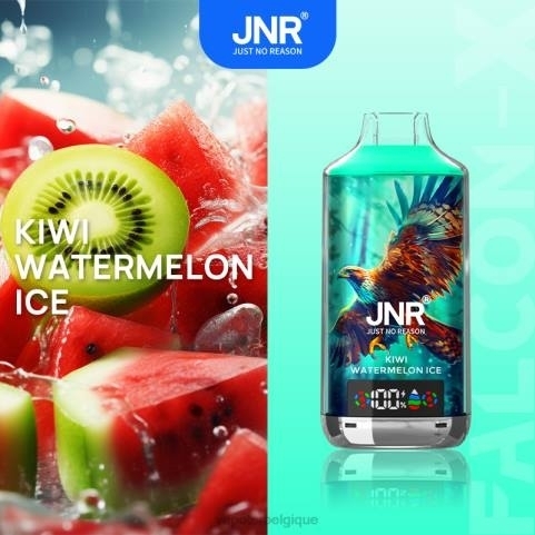 Grossiste Vape Jetable J2D8546 | JNR FALCON-X glace à la pastèque et au kiwi