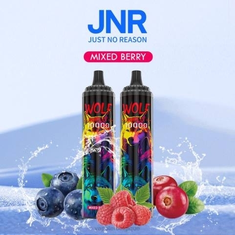 Cigarette Electronique Grossiste J2D8765 | JNR WOLF NIPLO baies mélangées
