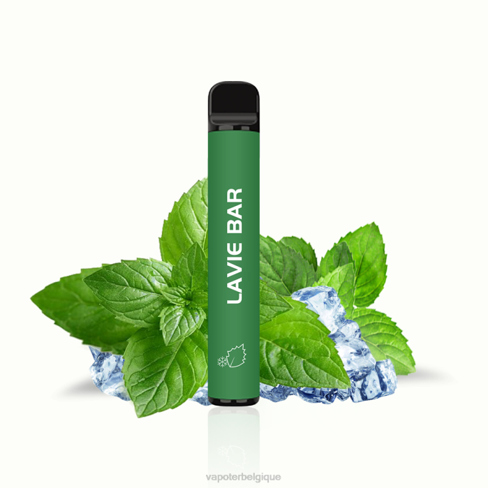 LAVIE BAR Version 2% 800 bouffées 6J6R320 | Cigarette Electronique Grossiste menthe fraîche