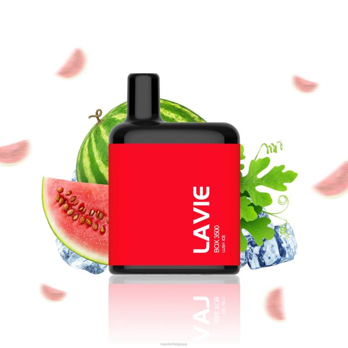 LAVIE BOX 3500 bouffées 6J6R211 | Grossiste Vape En Ligne glace luxuriante