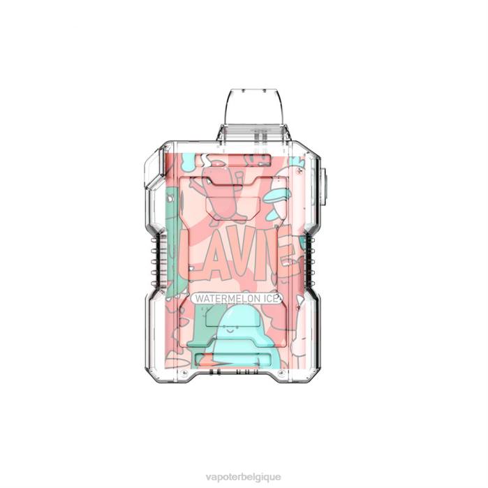 LAVIE NIO BOX 9000 bouffées 6J6R193 | Grossiste Vape En Ligne glace à la pastèque