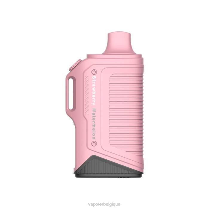 LAVIE Energy Box 15000 bouffées 6J6R71 | Cigarette Electronique Belgique pastèque fraise