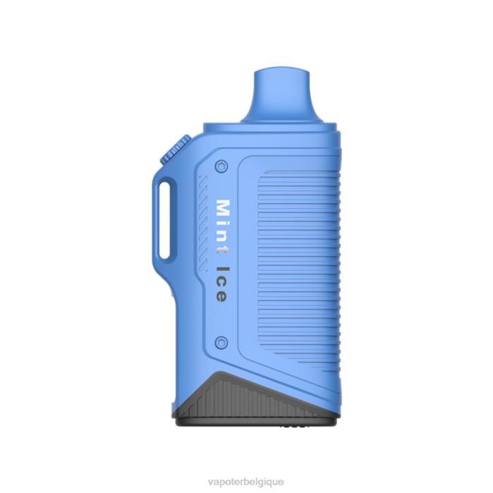LAVIE Energy Box 15000 bouffées 6J6R72 | Cigarette Electronique Bruxelles glace à la menthe