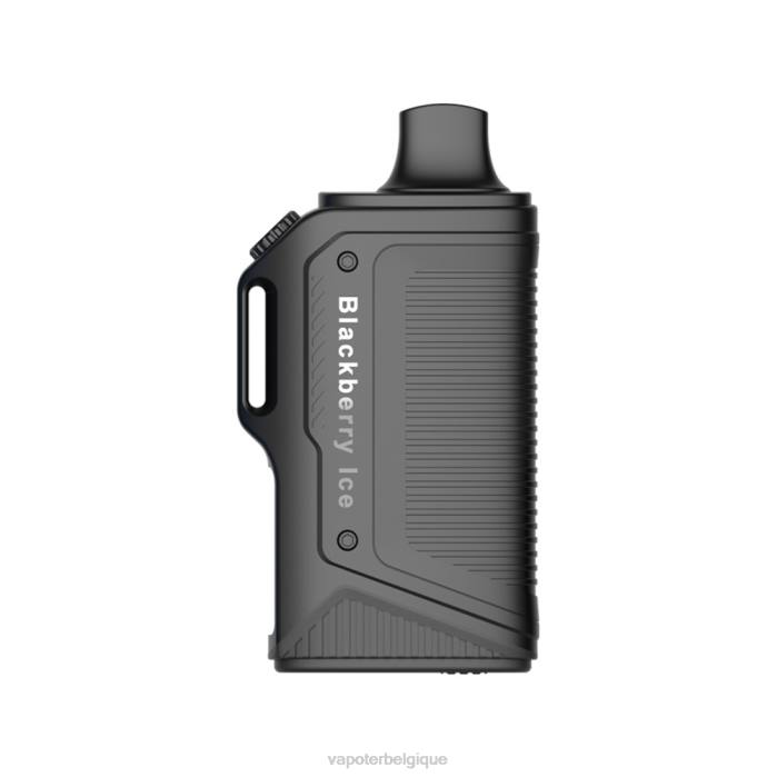 LAVIE Energy Box 15000 bouffées 6J6R73 | Vape En Gros glace aux mûres