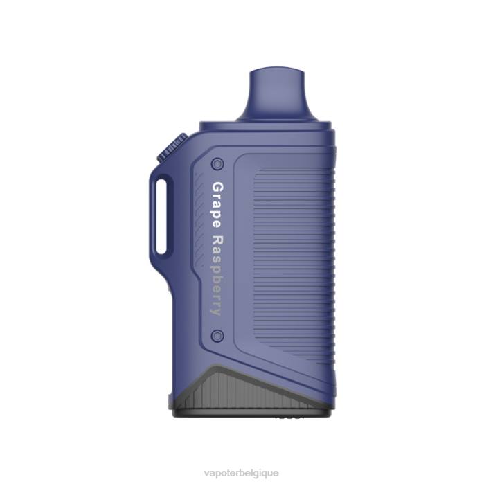 LAVIE Energy Box 15000 bouffées 6J6R77 | Cigarette Electronique Grossiste raisin framboise