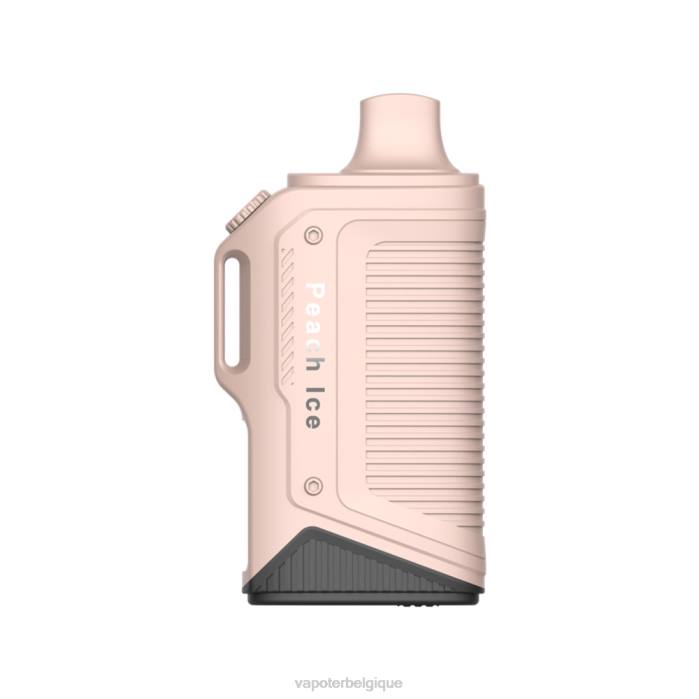LAVIE Energy Box 15000 bouffées 6J6R79 | Cigarette Electronique Jetable glace à la pêche