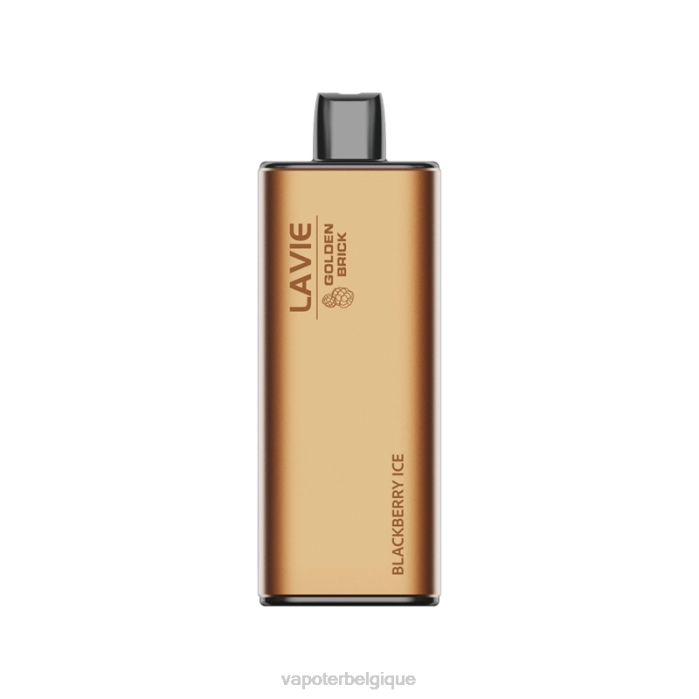 LAVIE GOLDEN BRICK 10000 bouffées 6J6R53 | Cigarette Electronique Belgique glace aux mûres