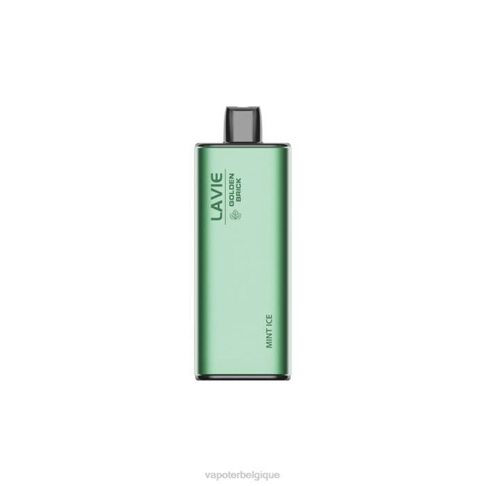 LAVIE GOLDEN BRICK 10000 bouffées 6J6R62 | Cigarette Electronique Belgique glace à la menthe