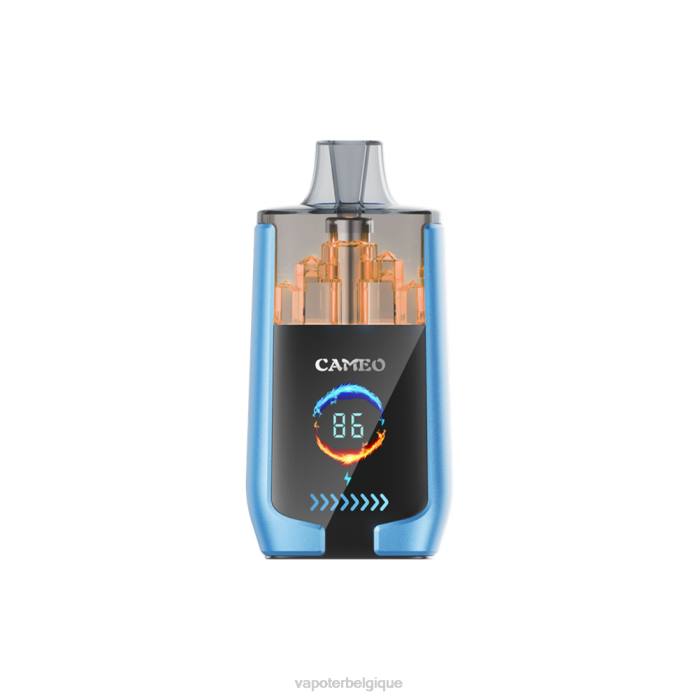 LAVIE CAMEO 30000 bouffées 6J6R13 | Grossiste Vape En Ligne glace à la fraise