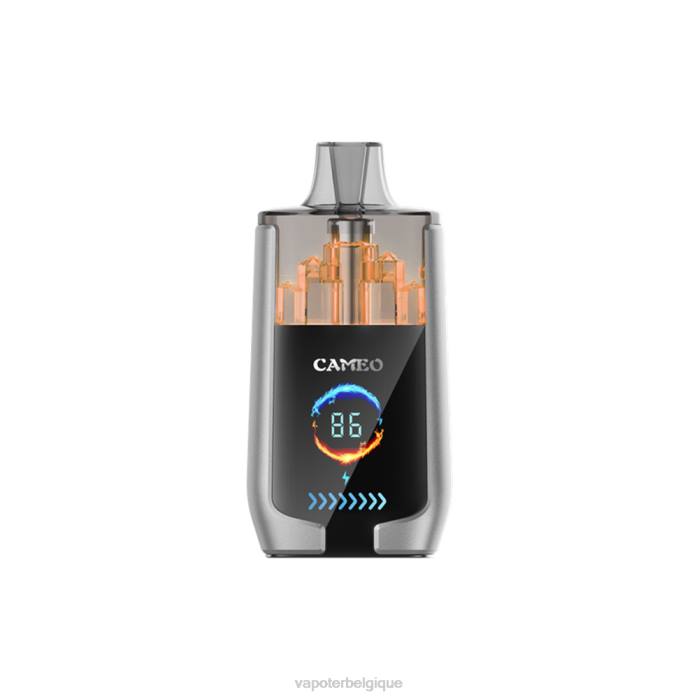 LAVIE CAMEO 30000 bouffées 6J6R15 | Grossiste Vape Jetable glace aux myrtilles