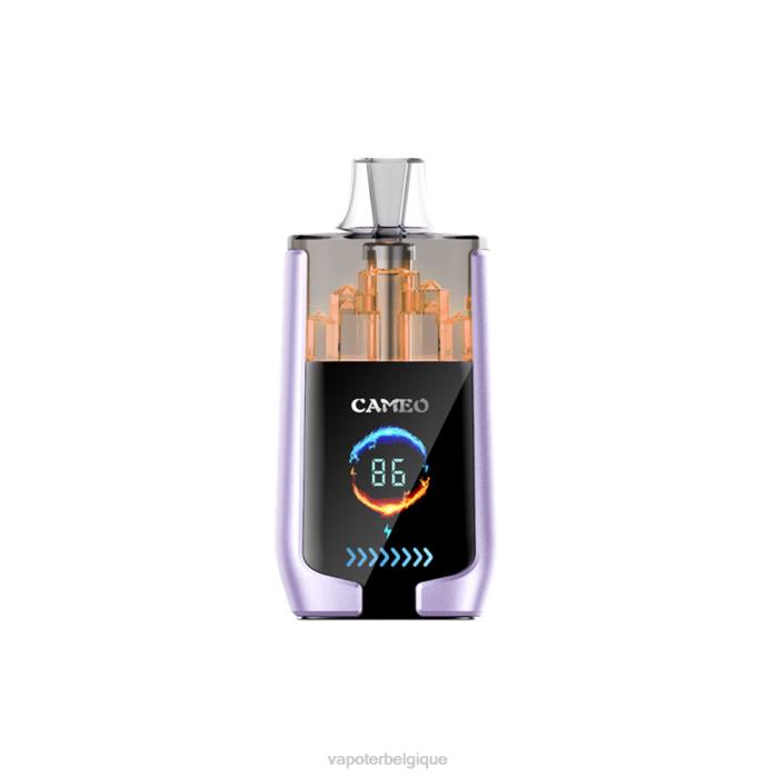 LAVIE CAMEO 30000 bouffées 6J6R16 | Cigarette Electronique Jetable glace aux raisins