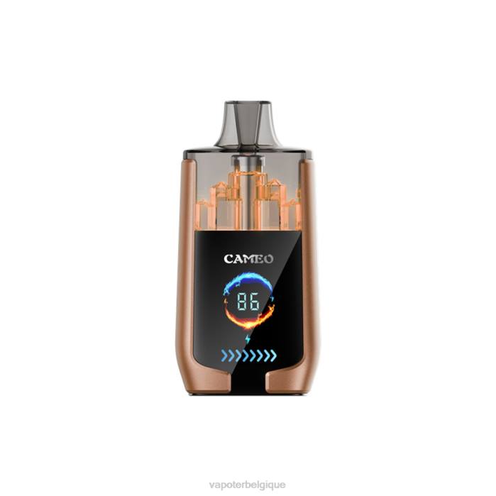 LAVIE CAMEO 30000 bouffées 6J6R18 | Cigarette Electronique Bruxelles glace au café