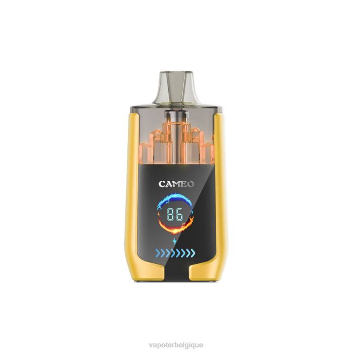 LAVIE CAMEO 30000 bouffées 6J6R21 | Vape Grossiste glace à la mangue