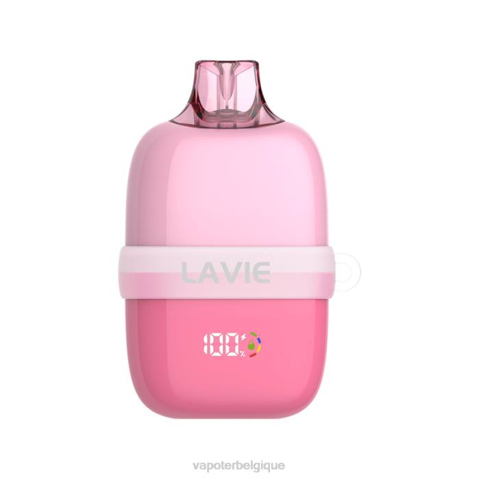 LAVIE INSIDER 12000 bouffées 6J6R81 | Cigarette Electronique Bruxelles pastèque fraise