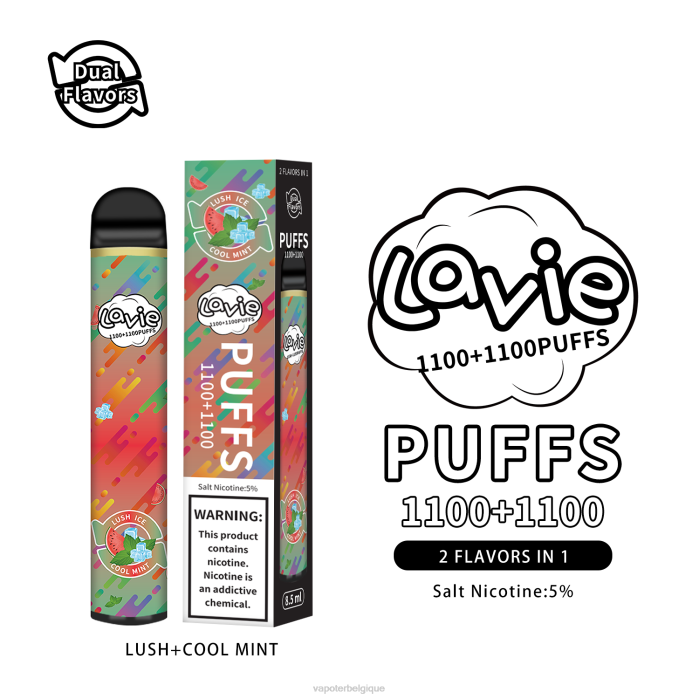 LAVIE BAR Switch 2200 bouffées 6J6R294 | Grossiste Vape Jetable menthe luxuriante/fraîche