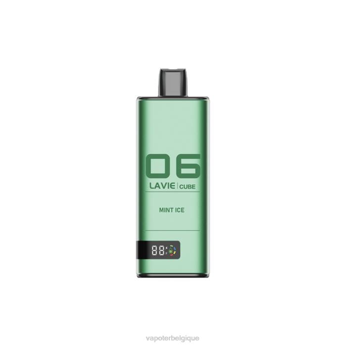 LAVIE Cube 20000 bouffées 6J6R40 | Grossiste Vape En Ligne glace à la menthe