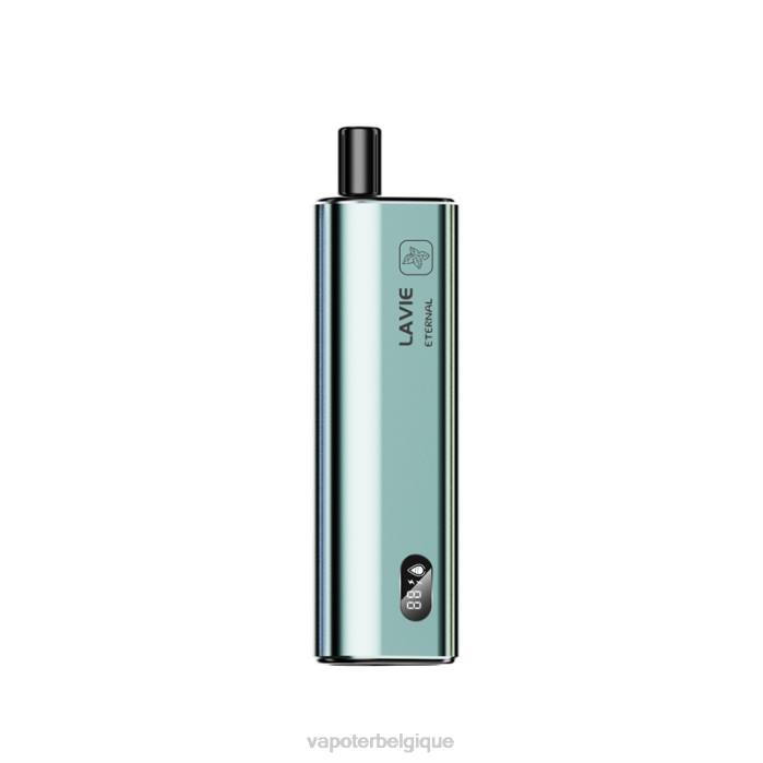 LAVIE ETERNAL 10000 bouffées 6J6R121 | Grossiste Vape En Ligne glace à la menthe