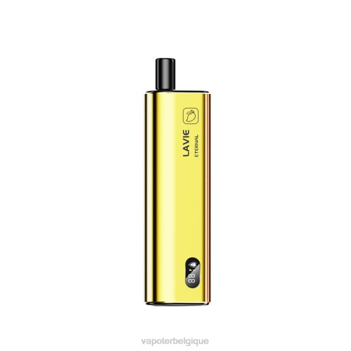 LAVIE ETERNAL 10000 bouffées 6J6R122 | Cigarette Electronique Grossiste glace à la mangue