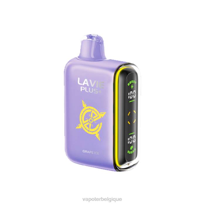 LAVIE PLUS 15000 bouffées 6J6R103 | Grossiste Vape En Ligne glace aux raisins