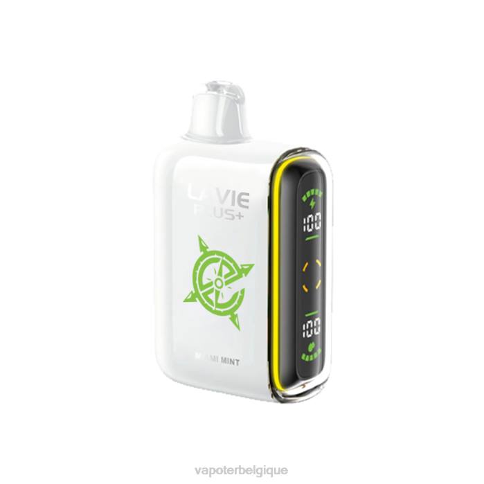 LAVIE PLUS 15000 bouffées 6J6R98 | Cigarette Electronique Belgique menthe de Miami