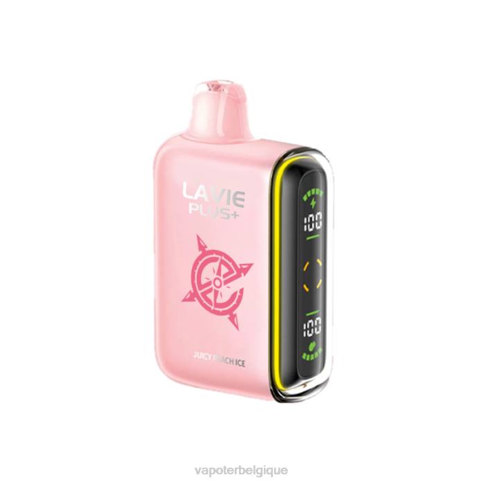 LAVIE PLUS 15000 bouffées 6J6R99 | Cigarette Electronique Bruxelles glace à la pêche juteuse