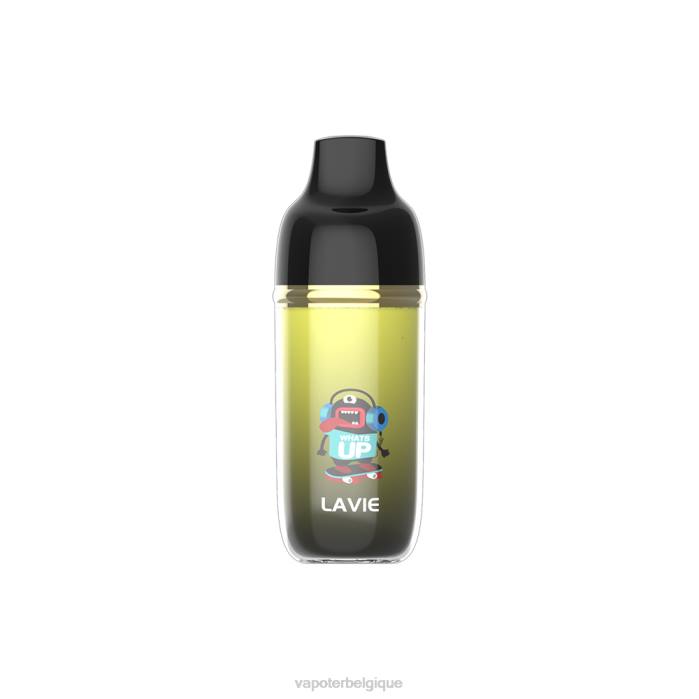 LAVIE Monster 6000 bouffées 6J6R241 | Cigarette Electronique Jetable glace à la mangue