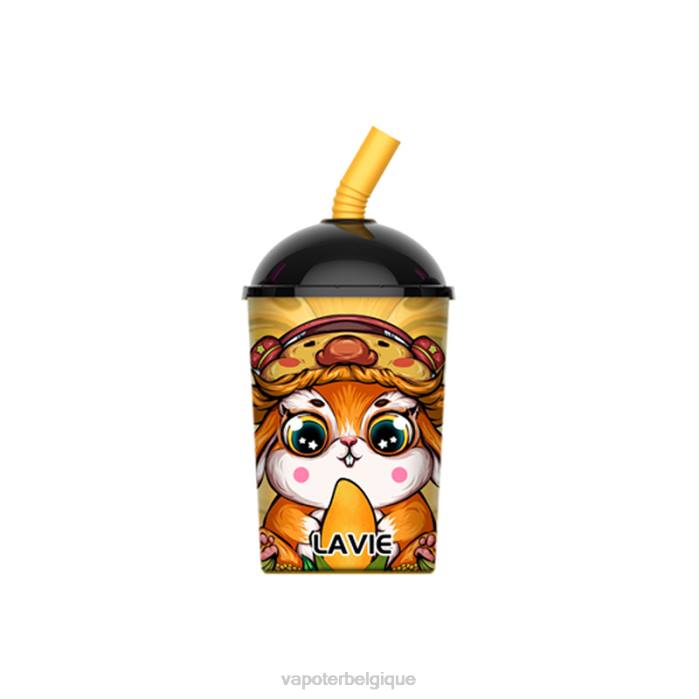 LAVIE Max Cup 8000 bouffées 6J6R262 | Vape En Gros glace à la mangue