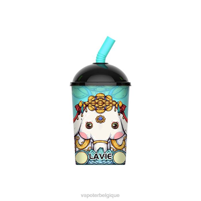 LAVIE Max Cup 8000 bouffées 6J6R263 | Vapoter Belgique glace à la menthe