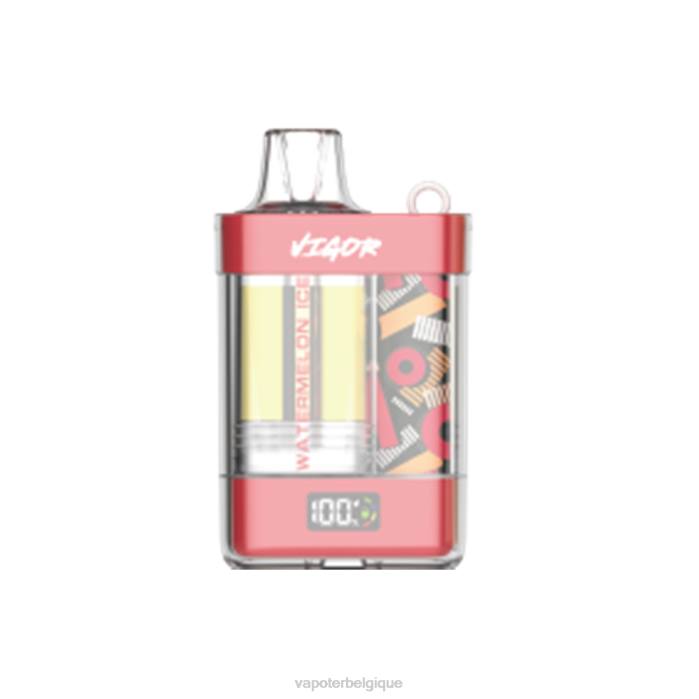 LAVIE VIGOR 15000 bouffées 6J6R10 | Vape En Gros glace à la pastèque