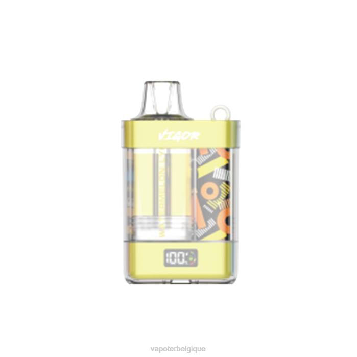 LAVIE VIGOR 15000 bouffées 6J6R11 | Vapoter Belgique litchi pastèque
