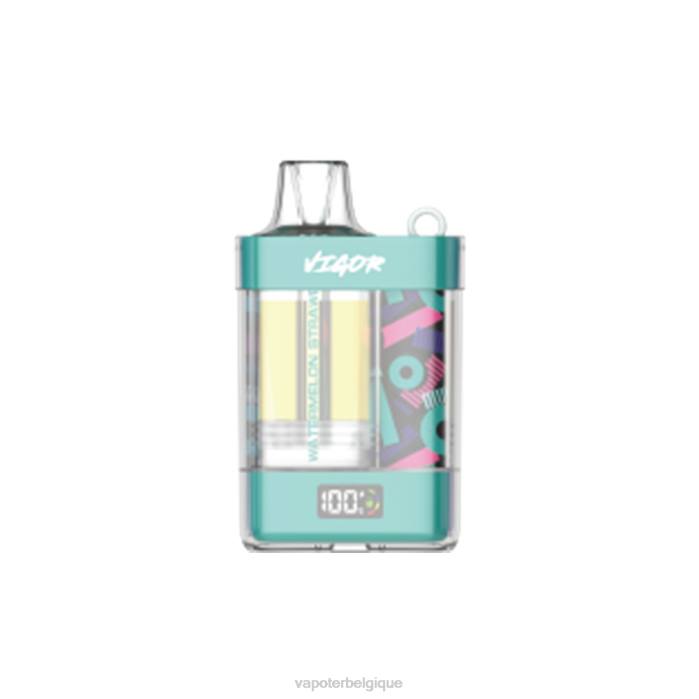 LAVIE VIGOR 15000 bouffées 6J6R12 | Vape Grossiste fraise pastèque