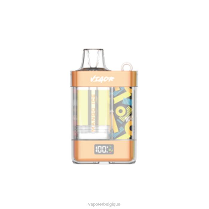 LAVIE VIGOR 15000 bouffées 6J6R3 | Vape Grossiste glace à la mangue