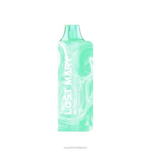 Cigarette Electronique Belgique J2D8538 | LOST MARY MO5000 glace duo dragon kiwi édition glacée