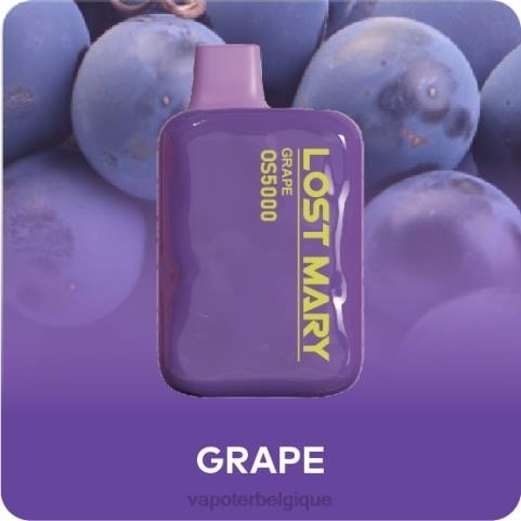 Vape En Gros J2D8491 | LOST MARY OS5000 raisin