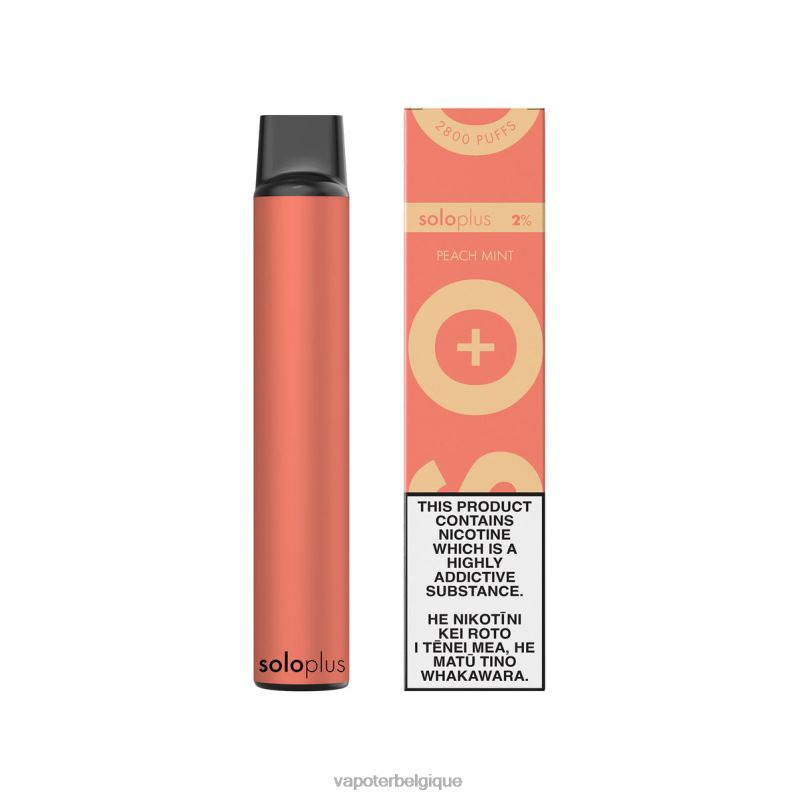 Cigarette Electronique Grossiste 26RVJ23 - Solo Plus vape jetable pêche menthe