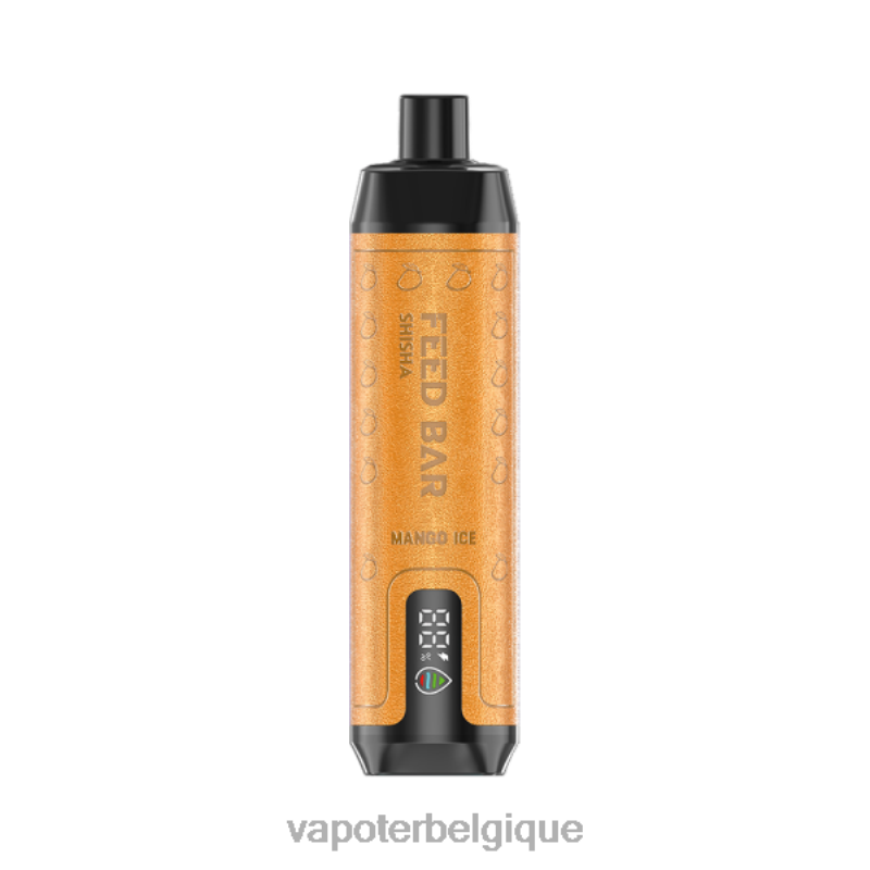 Cigarette Electronique Grossiste 22F64103 Vapsolo SHISHA vape jetable glace à la mangue