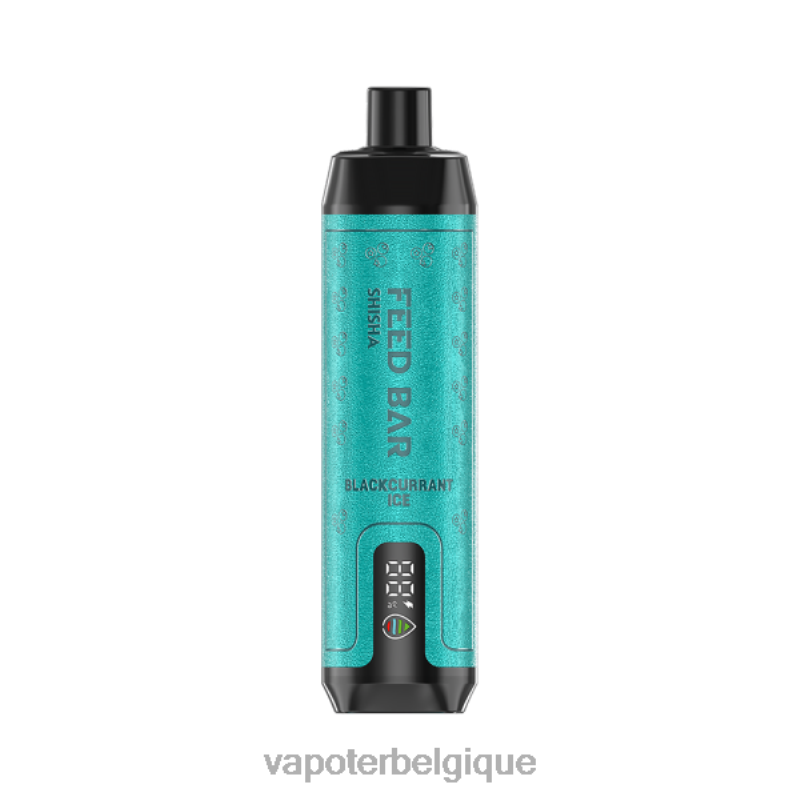 Cigarette Electronique Grossiste 22F6496 Vapsolo SHISHA vape jetable glace au cassis