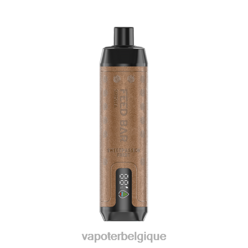 Cigarette Electronique Jetable 22F64105 Vapsolo SHISHA vape jetable fruit de la passion