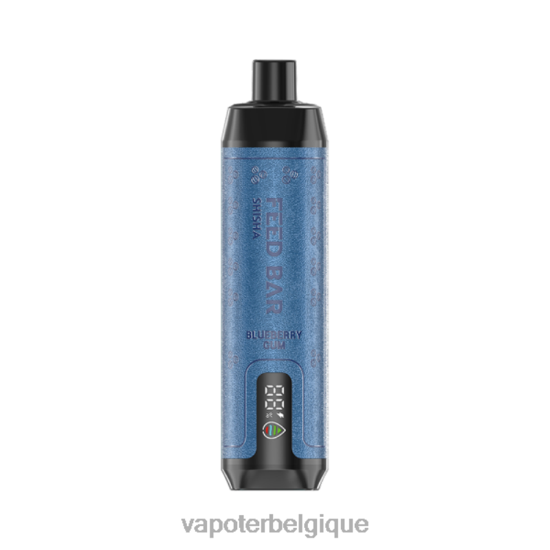 Cigarette Electronique Jetable 22F6498 Vapsolo SHISHA vape jetable gomme de myrtille