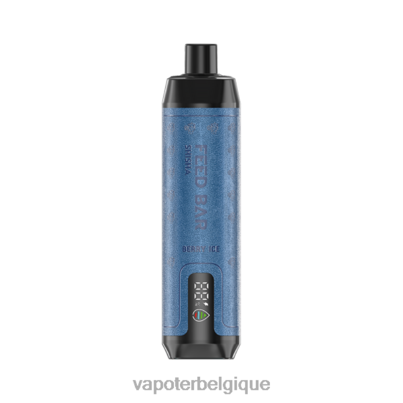 Grossiste Vape En Ligne 22F6495 Vapsolo SHISHA vape jetable glace aux baies