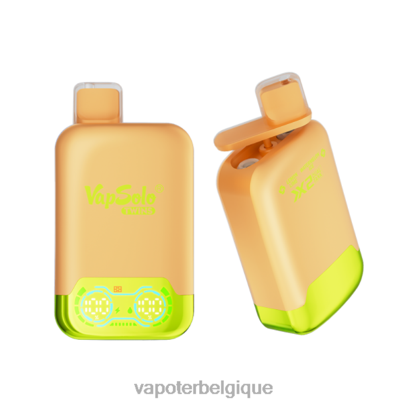 Grossiste Vape En Ligne 22F64123 Vapsolo TWINS vape jetable glace citron vert & pastèque