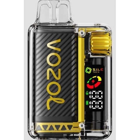 Cigarette Electronique Sans Nicotine J2D810 | VOZOL VISTA glace à la mangue 16 000/20 000 5%