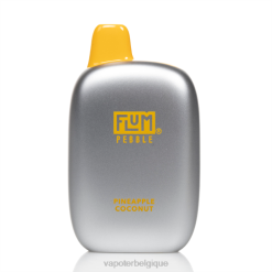 ananas noix de coco FLUM PEBBLES 6000 bouffées F8H440 Grossiste Vape En Ligne