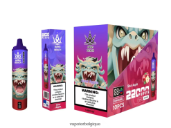 Bang Beach Écran intelligent de 22 000 bouffées TTX60413 - Grossiste Vape Jetable pomme aigre