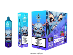 Bang Beach Écran intelligent de 22 000 bouffées TTX60414 - Cigarette Electronique Jetable myrtille framboise