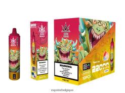 Bang Beach Écran intelligent de 22 000 bouffées TTX60416 - Vapoter Belgique glace à la pêche