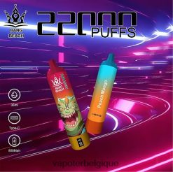 Bang Beach Écran intelligent de 22 000 bouffées TTX60424 - Vape Grossiste pêche mangue