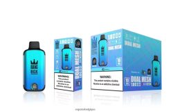 Bang Box 18000 bouffées TTX60490 - Vapoter Belgique glace aux myrtilles