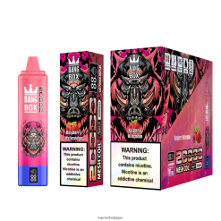Bang Box 20000 TTX60453 - Vape Grossiste pastèque framboise