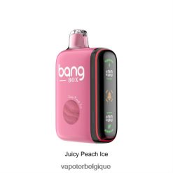 Bang Box Affichage de puissance intelligent de 9 000 à 18 000 bouffées TTX60429 - Vape En Gros glace à la pêche juteuse